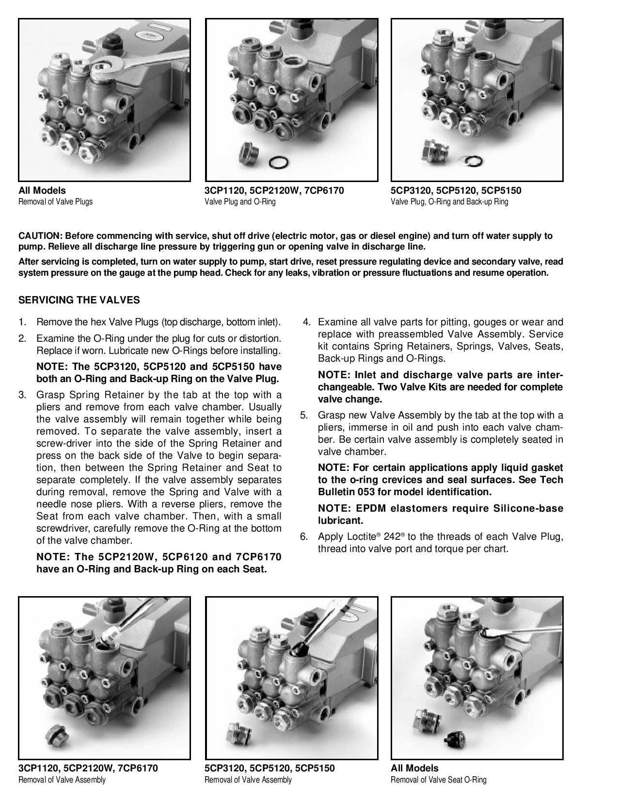 Cat_pump_manual-page-002.jpg